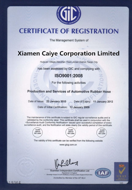 Chiny Caiye Printing Equipment Co., LTD Certyfikaty
